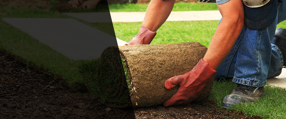Bay Village Landscapers
